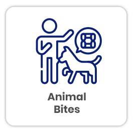 Animal Bites